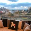 두부스테이 이미지