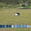 충성농장 이미지