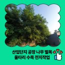 매곡1차산업단지내 도로 | 산업단지 공장 나무 벌목 울타리 수목 전지작업
