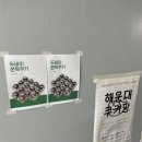 양운중학교 | 🍪 부산 해운대 수제쿠키 맛집 ✨ “해운대 쿠키당” 후기 💖