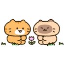 카페 솜(somm) 이미지