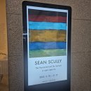 [전시관람 후기] 거장의 손끝에서 탄생한 ‘수평과 수직’의 세계_션스컬리_대구미술관