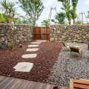 스테이놀 이미지