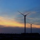 조○○ 태양광발전소 이미지