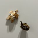 나오미야오 고양이호텔 | [필리핀 세부] 맑은 바다에서 물고기와 함께하는 여행