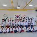 한양대 도담 태권도 네이버블로그