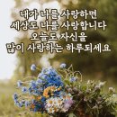 어느날밤 강도가 침입 이미지