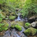 약수골 농장 이미지