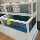 먹통낙지전문점 이미지