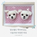 펠트남양주점 | 강아지 인형 제작, 두 아이 함께 담은 양모펠트 액자 보관법