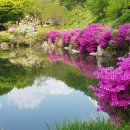 미륵산계곡꿈의궁전마을 이미지