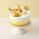 Yellow GYM | Birthday to Remember: Week 3 in Canada