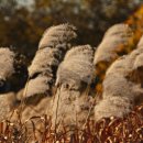 덕유산힐링존 이미지