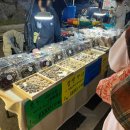 산현초등학교 | 205물왕호수축제ㅣ푸드페어링런페스타 바이킹 어린이놀이터 음식종류 체험후기