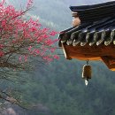 수영구 장애인협회 이미지