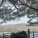 탄금대 | 충주가볼만한 곳 탄금대 후기, 점심 먹고 걷기 좋은 충주 산책로 추천