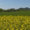 해찬농장 이미지