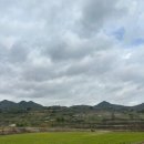 하리민박 이미지