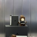 롯데월드몰 브랜드센터] 오픈이벤트, 스페셜기프트 레디백 후기, 마스킹 서비스 | 롯데월드몰 주차 할인...