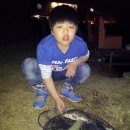 고골낚시터 이미지