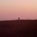 장유대우작은도서관 이미지