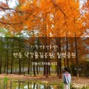 11월경북단풍명소 안동 월영교 낙강물길공원 단풍 현황 산책코스