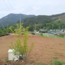 충남정화조 이미지