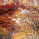 경기대로652번길 이미지