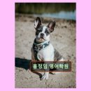 홍정임영어학원