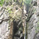 영남대로 이미지