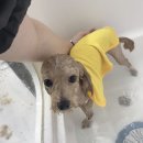 딱이네미용실 이미지