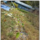 대덕농장2 이미지