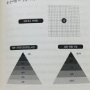 내 생활 속에 다가올 미래 비즈니스 트렌드 | [네트워크 마케팅 유통의 판을 바꾸다] 리더를 키우는 비즈니스의 본질