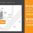 대디동물병원 이미지