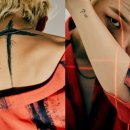 다비 티브이데일리