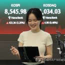 454 폴리뉴스