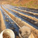 업동이네 이미지