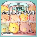 [머랭퀸] 머랭퀸 수제마카롱 귀여운 뚱카롱 먹은 후기