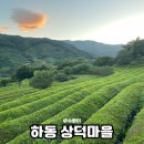 상덕 | 하동 상덕마을 조용한 마을 산책 (게스트 하우스 정리, 사진스팟)