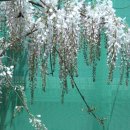 무안북중학교 이미지