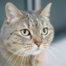 언양 동물병원 이미지