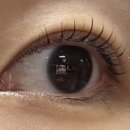 모노아이룸 | 광주 매곡동 속눈썹펌 모노아이룸 재방문 후기