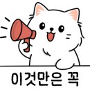 댕냥이살롱 네이버블로그