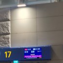 KONG & COFFEE(콩엔커피) | 코리안만 따라할 수 있는 알찬(개빡센) 홍콩 2박3일 기록_1일차