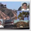 팜스프링 이미지