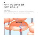 마포피부관리 [리앤메이뷰티스튜디오] 시바산 발삼키트로 페이셜 수분테라피 후기