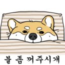 시골닭 농장 이미지
