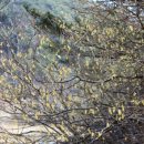 호계천변 이미지