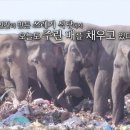 카페옆집 이미지