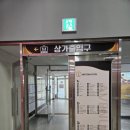 동백살롱 이미지